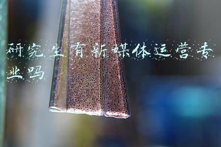 新媒体研究生学校排名(榜单揭晓！百余家媒体中，新媒体影响力、原创传播力哪家强？)