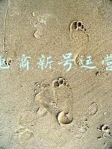 抖音电商新号运营方法