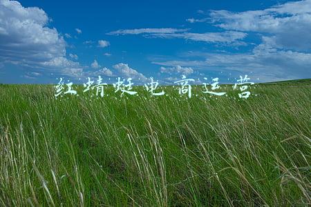 红蜻蜓电商运营