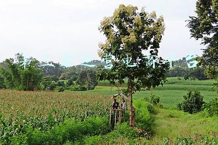 第三方电子商务平台有哪些主要功能(电商创新发展，催化经济发展新动能)
