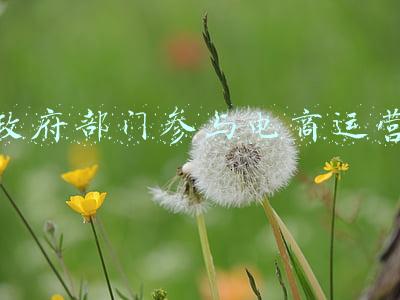 政府部门ppt模板(40套高质量政府汇报PPT模板，直接套用就行，全部送给你)