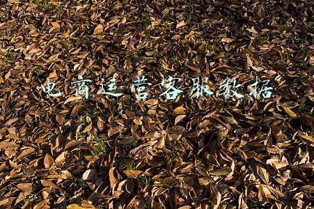 电商运营客服数据