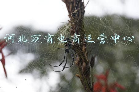 河北e商网络大数据运营中心(全国统一电力市场路线图确定，电力行业再启格局之变)