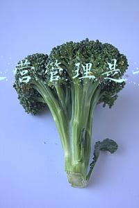轨道交通运营管理是干什么的(城市轨道交通运营管理专业招生条件是什么？)