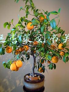 网店运营策划书模板(2020电商运营必备干货表格，运营方案活动策划年度规划工作计划等)