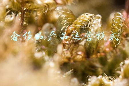 奢侈品的营销策略(茅台泰斗季克良现身专卖店提走两瓶茅台！谈谈茅台的营销策略)