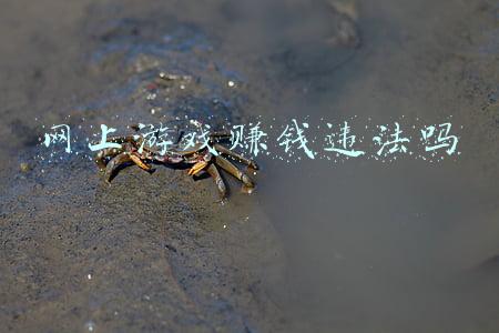网上的游戏赚钱是真的吗(玩游戏能挣钱？别太天真)
