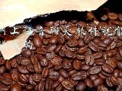 网上语音聊天软件就能赚钱的