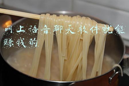 网上语音聊天软件就能赚钱的