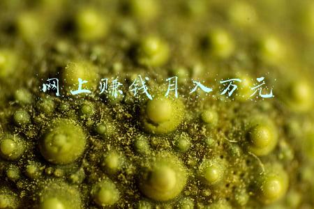 网上赚钱月入万元