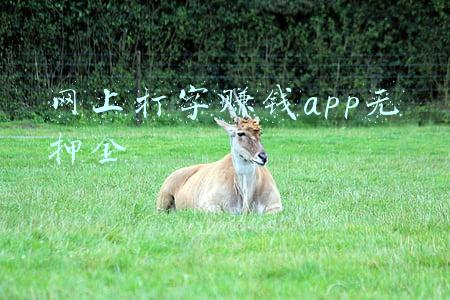 打字赚钱app无需佣金(曝光 | 新派商城，一部手机拉你入传销)
