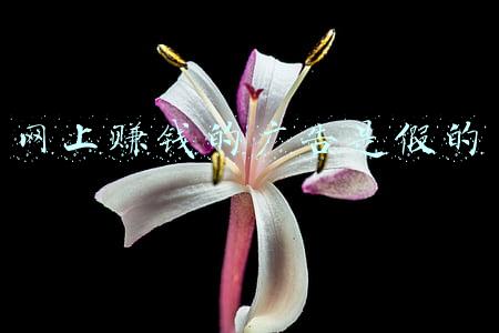 网上那些赚钱广告是真的吗(玩游戏就能赚钱？上海市消保委实测发现——赚钱APP“套路”消费者)