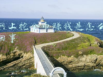 网上挖金币赚钱是怎么回事