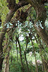 网上挖金矿赚钱(疯狂淘金客荒野采矿，仅一天就挖出3000克黄金，一年成为千万富翁)