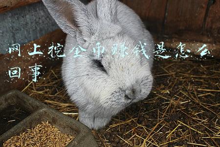 挖货币赚钱(40万一枚的比特币，在家用电脑一直挖，挖一个月能得到一枚吗？)