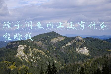 闲鱼网(有“暗网”之称的闲鱼网，竟成为色情交易平台)