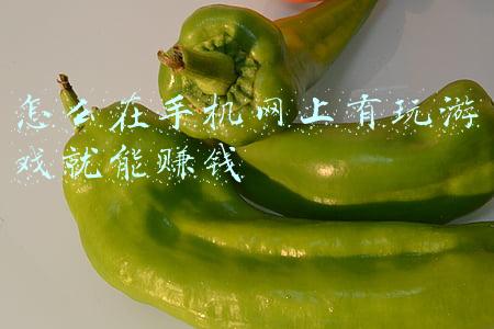 怎么在手机网上有玩游戏就能赚钱