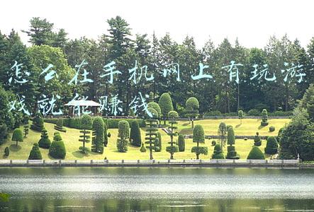 没网也能玩的手机游戏(猫汤物语无广告版下载 v1.5.2汉化版)