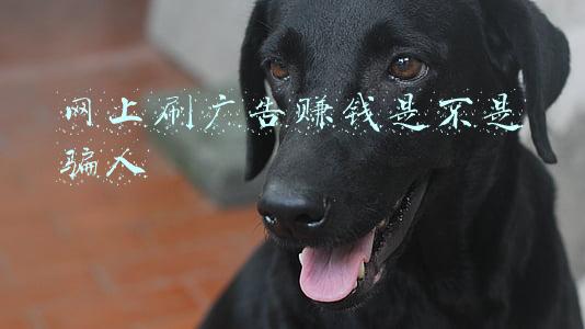 网上刷广告赚钱是不是骗人