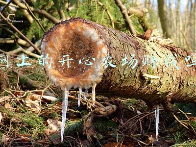 开心农场赚钱微信提现(宝妈入坑的多种赚钱软件？)