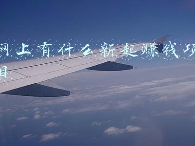 网上有什么新起赚钱项目