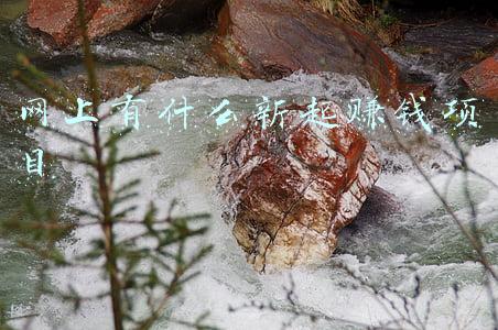 现在赚钱的项目(十大挣钱行业，好项目不等人)