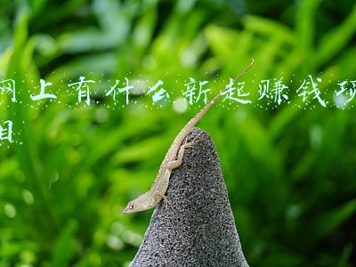 网上有什么新起赚钱项目