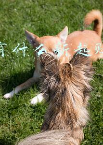 新起公司办理社保(新注册企业如何办理社保开户？“12345”政企通企业服务专线为您解答)