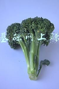 零基础做什么可挣钱(普通人逆袭，8个方法带你入门写作，一个月收益5000+)