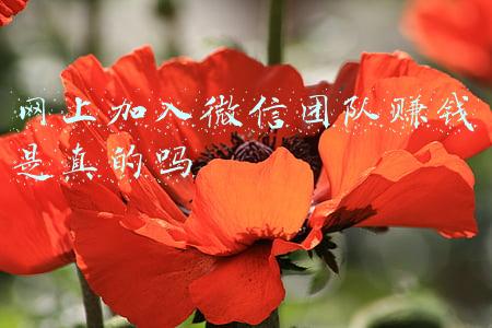 微信挣钱是真的吗(走走路就能赚钱也有人信，常州一女子“走路”被骗十多万)