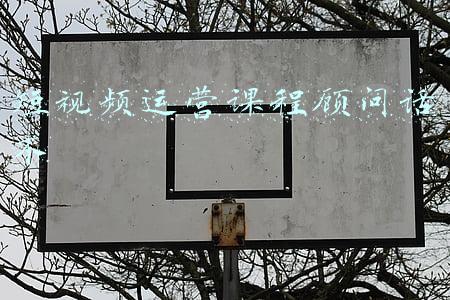 短视频策划制作与运营(新手福利！从策划到剪辑全学会，这样的短视频想不赚钱都难！)