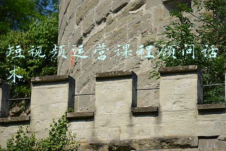 少儿编程课程顾问话术(要为孩子选编程课吗？怎么为孩子选编程课？)