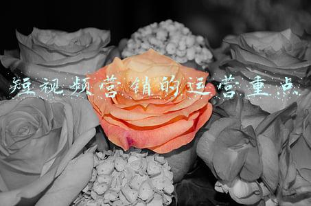 短视频营销的运营重点