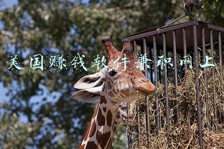 美国赚钱软件兼职网上