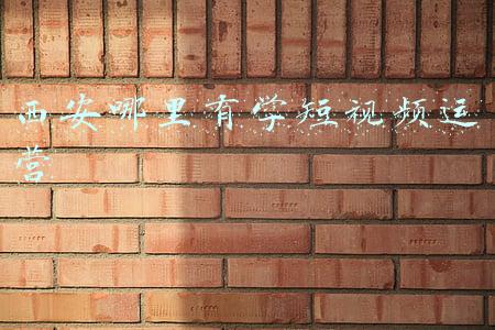 西安短视频代运营(西安市在线出租车和网约车已超5000余辆复工)