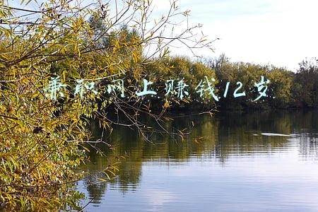 12岁可以兼职吗(18岁离家自立？加拿大优秀学生：不！12岁就开始打工了)
