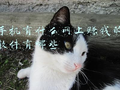 能挣钱的手机软件有哪些(2022手机试玩赚钱软件任务类型盘点)