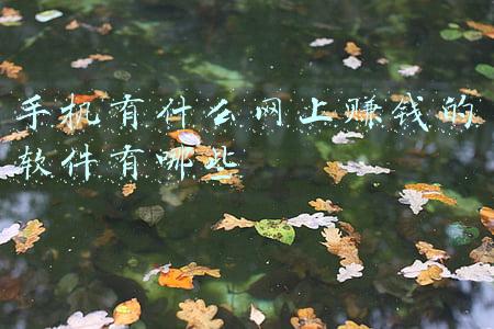 手机有什么网上赚钱的软件有哪些