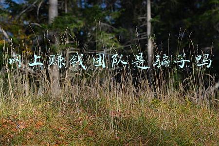 康小康团队骗子(男子网贷创业陷“死循环”2000元借款3个月后变40余万)
