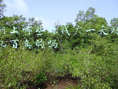 网上兼职一天赚几百是真的吗(网上兼职一天可赚几百元，邀请他人还能有额外奖励？)