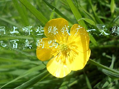网上哪些赚钱广一天赚几百真的吗