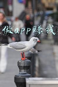 网上做app赚钱是真的吗