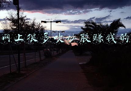 网上很多吹炒股赚钱的