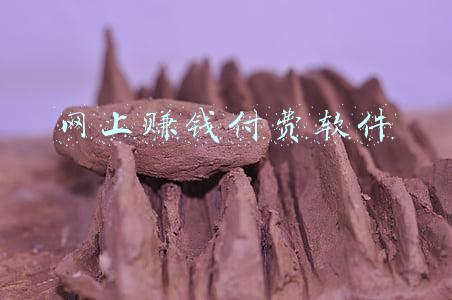 网上赚钱付费软件
