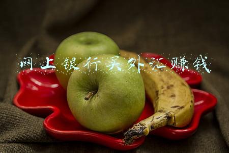 网上银行买外汇赚钱
