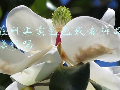 卖包包赚钱还是卖服装赚钱(一年扔掉半个大庆油田？回收旧衣有多“暴利”？90后夫妻日赚千元)