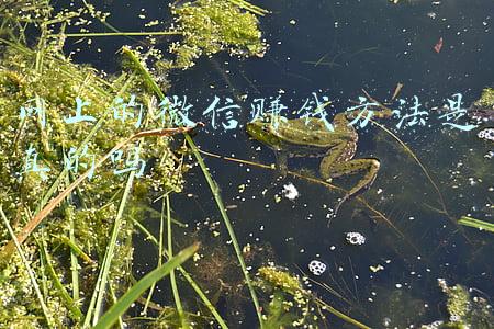 网上的微信赚钱方法是真的吗