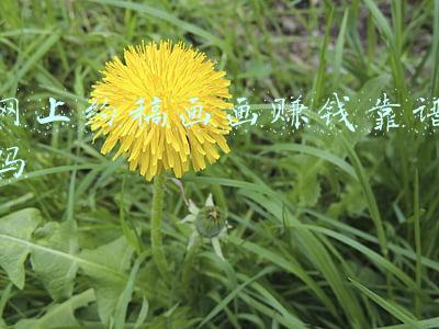 网上约稿画画赚钱靠谱吗