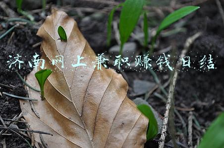 济南网上兼职赚钱日结