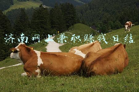 济南网上兼职赚钱日结